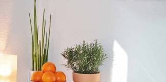 Vacation on Tangkuban Mountain