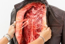 พีต้าเซอร์ไพรซ์นักช็อป เปิดป๊อบอัพสโตร์กลางกรุง รณรงค์ต่อต้านการใช้หนังสัตว์ในเครื่องหนัง