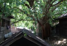 สมาคมสถาปนิกสยามฯเชิญส่งผลงานร่วมประกวดภาพถ่าย “บ้านบ้าน : รูป เล่า เรื่อง”