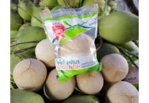 เซเว่นฯ เปิดรายชื่อ SME รางวัล ‘เซเว่น อีเลฟเว่น เอสเอ็มอีไทยยั่งยืน’ ‘โคโค่ เฟรส’ คว้ารางวัลความคิดสร้างสรรค์ – ‘สมูทโตะ’ คว้าดาวรุ่งไปครอง