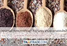 Thaitrade.com สนองนโยบาย Thailand 4.0 ช่วยชาวนา ชวนซื้อข้าวออนไลน์สั่งข้าวส่งด่วน
