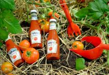 ไฮนซ์ ซอสมะเขือเทศ ชวนผู้บริโภคในไทยร่วมแคมเปญ ‘HEINZ GROW YOUR OWN’ ไฮนซ์ชวนปลูกความอร่อยด้วยมะเขือเทศแท้ 100%