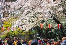 เจแปนแฟนคลับคิดหนัก ! ญี่ปุ่นเล็งเก็บภาษีท่องเที่ยว sayonara tax