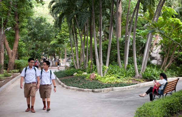 ไอคอนสยาม ส่งมอบโครงการปรับปรุงสวนป่าเฉลิมพระเกียรติ ใต้สะพานสมเด็จพระเจ้าตากสินมหาราช เพื่อส่งเสริมให้เป็นพื้นที่สาธารณะและสร้างสุขภาวะดีเพื่อชีวิตของชุมชน