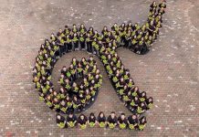 เครือเจริญโภคภัณฑ์และทรู คอร์ปอเรชั่น น้อมสำนึกในพระมหากรุณาธิคุณอย่างหาที่สุดมิได้ ร่วมปลูกต้นดาวเรืองให้เหลืองอร่ามบานสะพรั่งทั้งแผ่นดิน รวมถึงเปิดให้แสดงความอาลัยผ่าน www.iwilldoforking.com