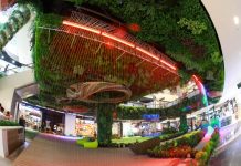 กระหึ่มโคราช เปิดยิ่งใหญ่ “เซ็นทรัลพลาซา นครราชสีมา” สร้างปรากฏการณ์ อภิมหาโครงการมหานครแห่งอีสานจัดเต็มเพื่อการ #ใช้ชีวิตให้สุดครบทุกมิติ