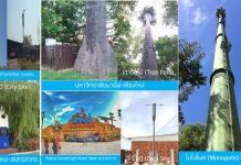 ดีแทคเผยโฉมนวัตกรรมเสามือถือยกระดับคุณภาพชีวิตดิจิทัล