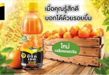 ใหม่ ‘มินิทเมด พัลพิ รสส้มแมนดาริน’ น้ำส้มผสมเนื้อส้มแมนดารินแท้ๆ อร่อยสดชื่น เต็มน้ำเต็มเนื้อ