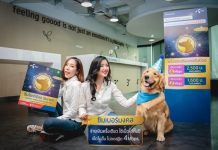 ดีแทคเปิดตัว “ซิมโชคดีปีจอ” ซิมเติมเงินแบบรายปีรายแรก จ่ายเงินครั้งเดียวเล่นเน็ตได้ไม่อั้น ไม่ลดความเร็วได้ทั้งปี! พร้อมเบอร์มงคลคัดพิเศษ ต้อนรับปีจอ