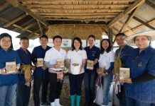 กลุ่มเซ็นทรัล จับมือ มูลนิธิชัยพัฒนา เปิดตัวข้าวเพื่อสุขภาพ ภายใต้ตรา “ทรัพย์-ปัน” พร้อมส่งเสริมเกษตรอินทรีย์จากใจ