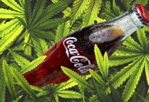 Coca-Cola ไม่ซื้อบริษัทปลูกกัญชา Aurora Cannabis