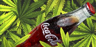 Coca-Cola ไม่ซื้อบริษัทปลูกกัญชา Aurora Cannabis