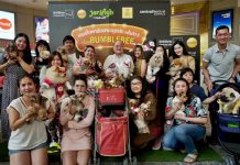 อาหารสุนัขเจอร์ไฮพาน้องหมาดูหนัง ครั้งที่ 13