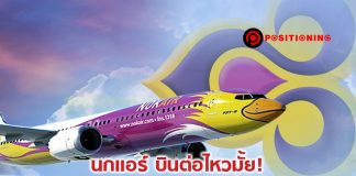 นกแอร์ บินต่อไหวมั้ย! หลังการบินไทยไม่เพิ่มทุน