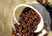 “เวียดนาม” กำลังลุยพัฒนาไร่กาแฟ “ออร์แกนิกส์” เพื่อตีตลาดโลก