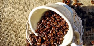 “เวียดนาม” กำลังลุยพัฒนาไร่กาแฟ “ออร์แกนิกส์” เพื่อตีตลาดโลก