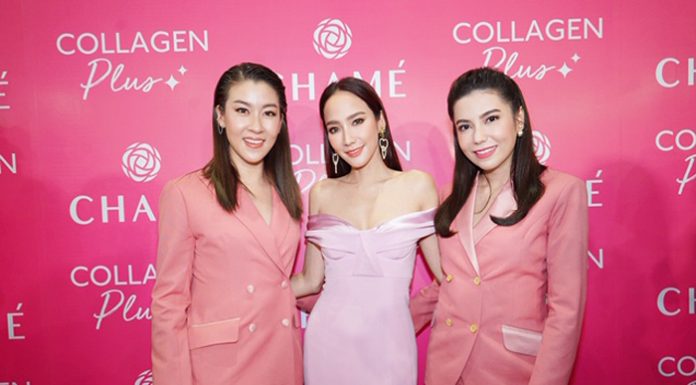 “ชาเม่” ครบรอบ 9 ปี มุ่งสู่ความเป็นผู้นำตลาดสุขภาพและความงาม ล่าสุดส่ง “ชาเม่คอลลาเจน พลัส” เคล็ดลับความงามผิวสวย