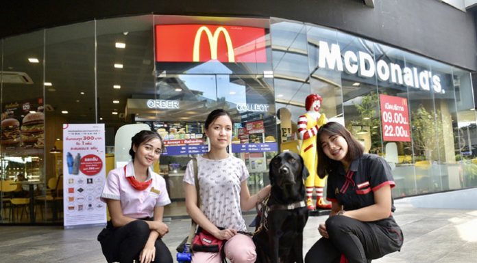 แมคโดนัลด์ยินดีต้อนรับผู้พิการและสุนัขนำทาง