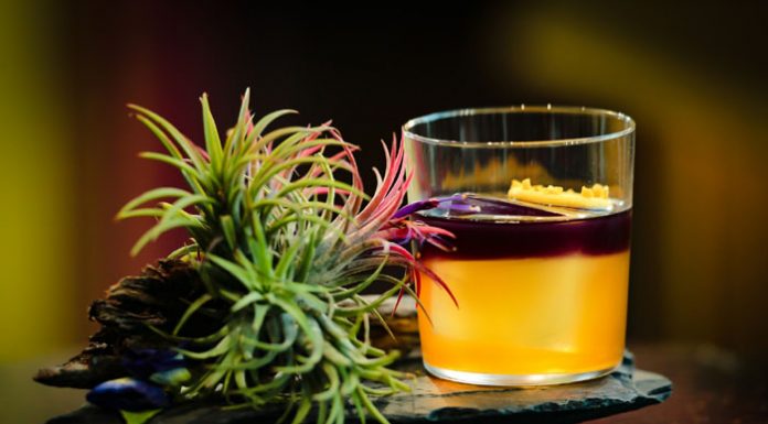 Mekhong (แม่โขง) สานต่อสปิริตความเป็นไทยกับงาน ‘Mekhong The Spirit Competition 2020’