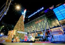 CPN ทุ่ม 400 ล้าน ปั้น Theme Park อาณาจักรคริสต์มาส หวังเป็น Time Square of Asia