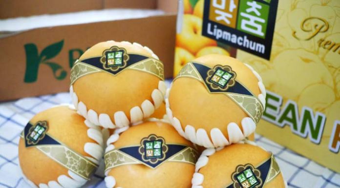 วัชมนฟู้ด ร่วมกับ ธุรกิจการค้ารัฐบาลเมืองคยองกี ประเทศเกาหลีใต้ ยกทัพผลไม้เกาหลี ราคาพิเศษท้าลมหนาว ส่งตรงถึงผู้บริโภคไทย