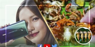 OPPO ควงกับข้าวกับปลาโอ ปั้นวิดีโอ คอนเทนต์วิวสูงสุดประจำสัปดาห์