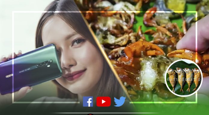 OPPO ควงกับข้าวกับปลาโอ ปั้นวิดีโอ คอนเทนต์วิวสูงสุดประจำสัปดาห์