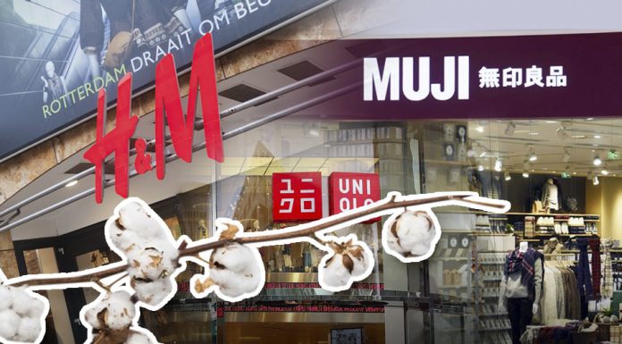 H&M, Muji, Uniqlo และ Adidas รับศึกฝ้ายแรงงานทาส Xinjiang