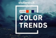 Shutterstock เปิด 3 เทรนด์สีมาแรงปี 2020 Lush Lava, Aqua Menthe และ Phantom Blue
