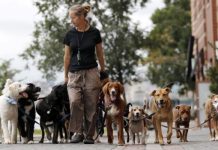 “ลูกจ้างคนรวย” งานที่กำลังโตเร็วที่สุดในอเมริกา…อีกด้านไม่ได้สวยหรูอย่างที่คิด