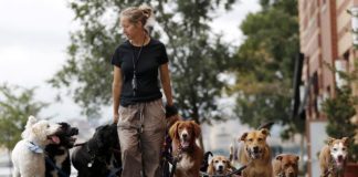 “ลูกจ้างคนรวย” งานที่กำลังโตเร็วที่สุดในอเมริกา…อีกด้านไม่ได้สวยหรูอย่างที่คิด