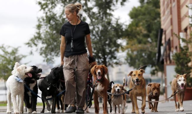 “ลูกจ้างคนรวย” งานที่กำลังโตเร็วที่สุดในอเมริกา…อีกด้านไม่ได้สวยหรูอย่างที่คิด
