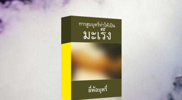เตรียมใช้ “ซองบุหรี่แบบเรียบ” ลดโลโก้แบรนด์ ใช้สีพื้นเป็นเขียวมะกอก หวังช่วยลดแรงดึงดูดได้