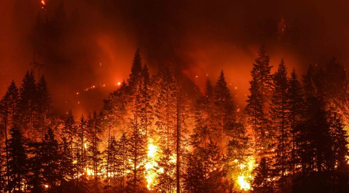 รู้หรือไม่? ความเสียหายจากวิกฤตสภาพภูมิอากาศโลกมีมูลค่าสูงถึง 1.4 หมื่นล้านบาท/วัน