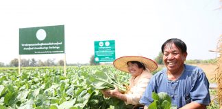 เทสโก้ โลตัส เดินหน้า “รับซื้อผักโดยตรงจากเกษตรกร” ตั้งเป้า 1,000 ครัวเรือน ภายในสิ้นปีนี้