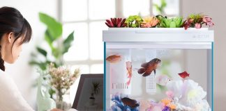 เป็นทุกอย่าง! Xiaomi กับตู้ปลาอัจฉริยะรุ่นใหม่ ให้อาหาร-ปรับอุณหภูมิน้ำผ่านสมาร์ทโฟน