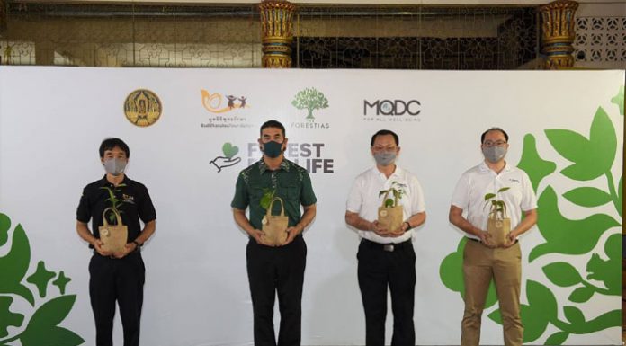 TheForestias by MQDC ทุ่มงบ 25 ล้าน เปิดโครงการ’Forest for Life สร้างป่าสร้างชีวิต’มอบเงินช่วยผู้ประสบปัญหาโควิด 1,000 ครอบครัว