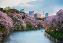 เจอกันหลัง COVID-19 เปิดลิสต์ “เมืองท่องเที่ยว” ที่คนไทยอยากไปมากที่สุด เมื่อพ้นวิกฤต