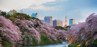 เจอกันหลัง COVID-19 เปิดลิสต์ “เมืองท่องเที่ยว” ที่คนไทยอยากไปมากที่สุด เมื่อพ้นวิกฤต