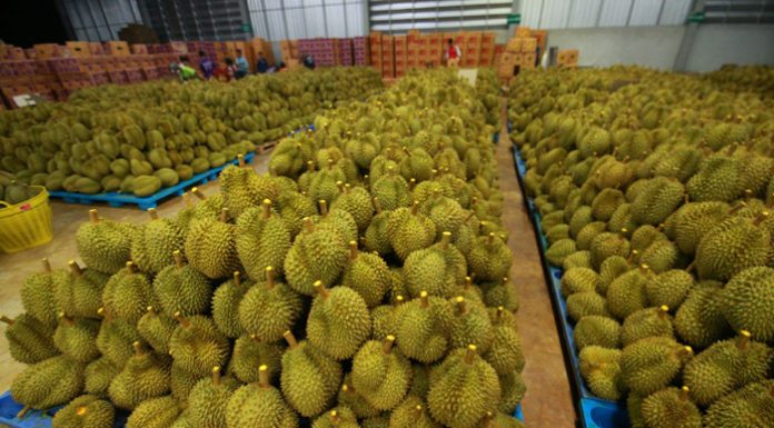 ผลไม้ไทยโลดแล่นในเทศกาลช้อปปิ้งกลางปีของอาลีบาบา