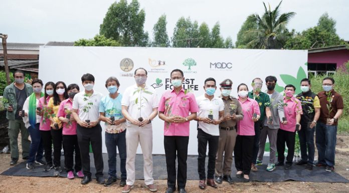 THE FORESTIAS by MQDC เดินหน้ามอบกล้าไม้และเงินช่วยเหลือ ในโครงการ’Forest for Life สร้างป่าสร้างชีวิต’ แก่ชุมชนบ้านอำเภอ 120 ครอบครัว