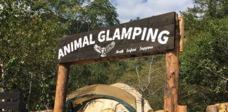 สวนสัตว์ญี่ปุ่นปิ๊งไอเดียระดมทุน ปล่อยของที่ระลึกสุดแนว “ทดลองเป็นผอ.” ในราคา 1 แสนเยน