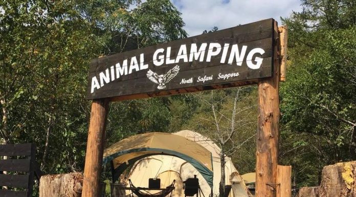 สวนสัตว์ญี่ปุ่นปิ๊งไอเดียระดมทุน ปล่อยของที่ระลึกสุดแนว “ทดลองเป็นผอ.” ในราคา 1 แสนเยน