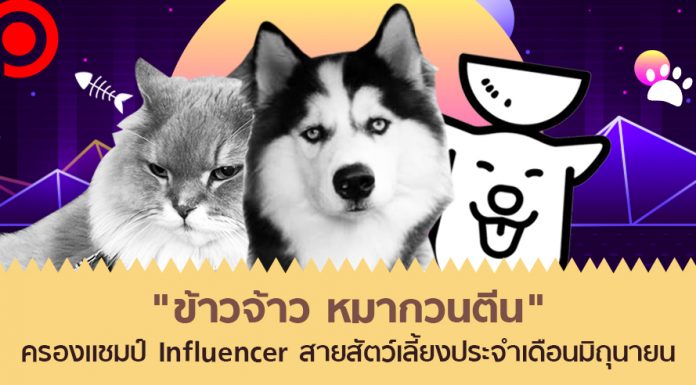 “ข้าวจ้าว หมากวนตีน” ครองแชมป์ Influencer สายทาสหมา ทาสแมว ประจำเดือนมิถุนายน