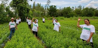 บทบาท “ซีพีแรม” กับความมั่นคงทางอาหารของไทย ไม่ใช่แค่ผู้ใช้วัตถุดิบ แต่รักษาสมดุล ทั้งซัพพลายเชน
