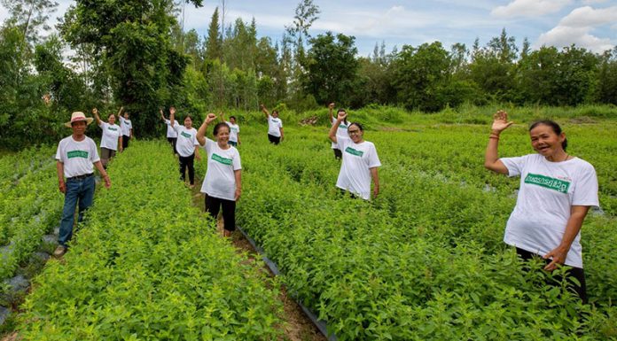 บทบาท “ซีพีแรม” กับความมั่นคงทางอาหารของไทย ไม่ใช่แค่ผู้ใช้วัตถุดิบ แต่รักษาสมดุล ทั้งซัพพลายเชน