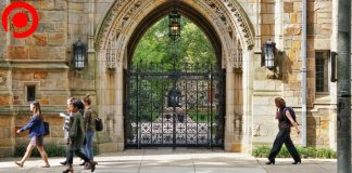 “อเมริกา” ประกาศ “ไม่ให้วีซ่า” นักศึกษาต่างชาติรายใหม่เข้าประเทศ ให้ลงเรียนแต่ออนไลน์