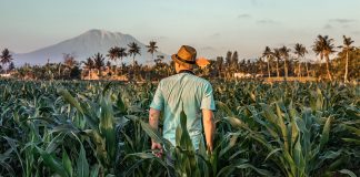 “ท่องเที่ยวเชิงเกษตร” เทรนด์ที่กำลังมาแรง เมื่อคนเมืองอยากสัมผัสชีวิตชนบท หนี COVID-19 ท่องเที่ยวเชิงเกษตร