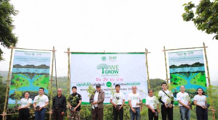 เครือซีพี ระดมพลังเครือข่ายปลูกต้นไม้ บนพื้นที่ต้นน้ำน่าน สานต่อแคมเปญ We Grow ปลูกเพื่อความยั่งยืน