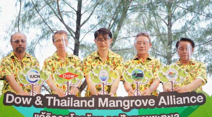 Dow – ทช.- IUCN ร่วมต้านโลกร้อนลดขยะทะเล ตั้งเป้ายกระดับการอนุรักษ์ป่าชายเลนด้วยคาร์บอนเครดิต